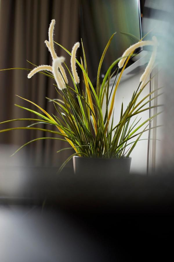 Modern Canal House Loft - City Center Amsterdam Bagian luar foto